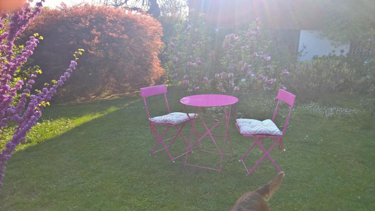 B&B Villa Giardini Susanna Gattico Extérieur photo